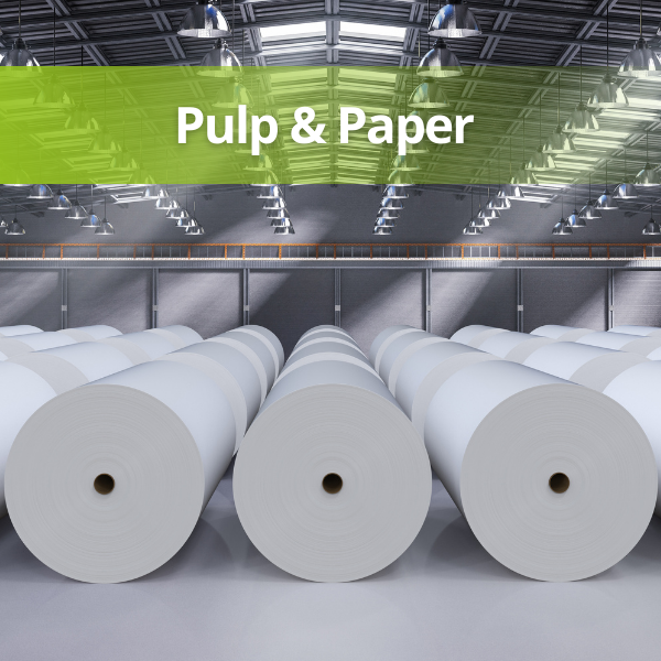Pulp and paper