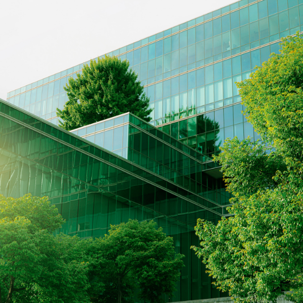 Sustainability